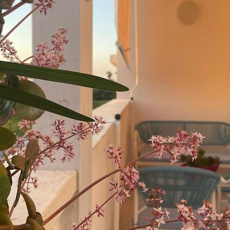 Seashell Guest House Torre Marino Εξωτερικό φωτογραφία