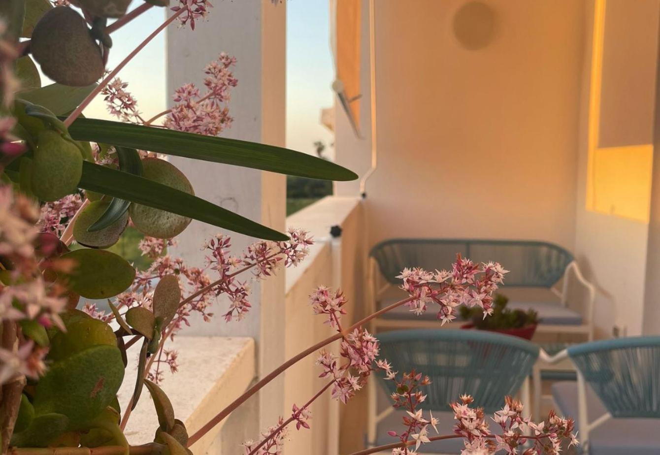 Seashell Guest House Torre Marino Εξωτερικό φωτογραφία
